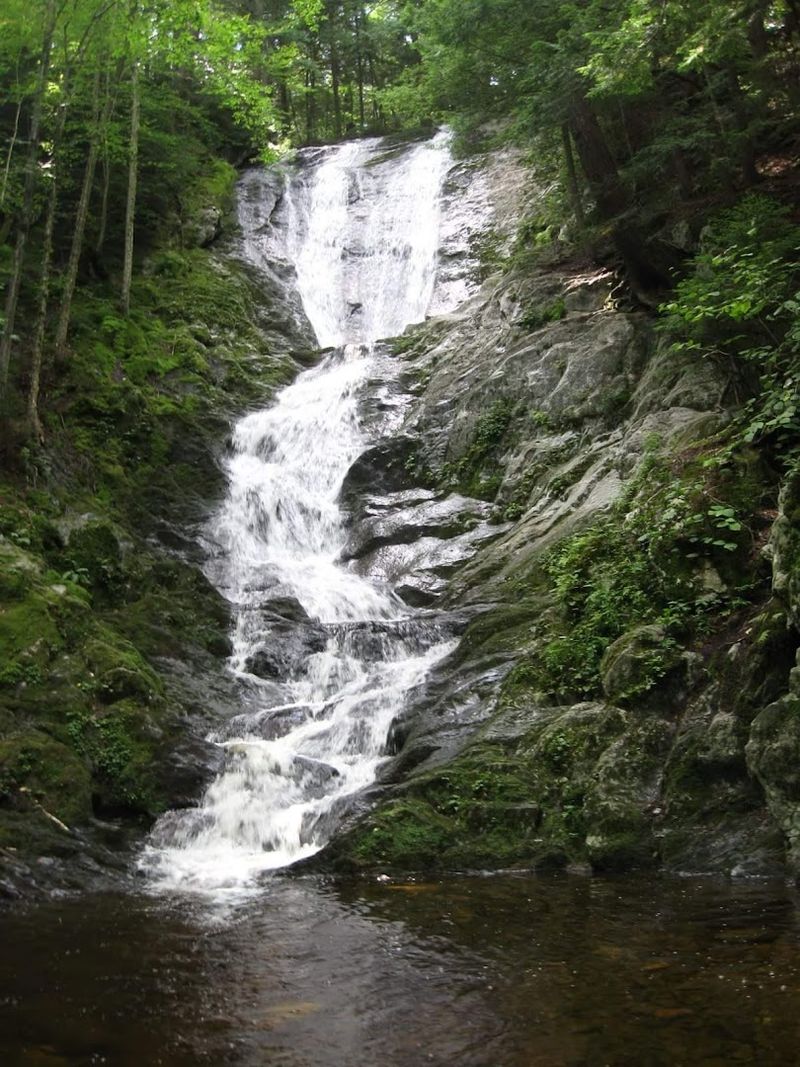 Savoy Mountain State Forest, Savoy