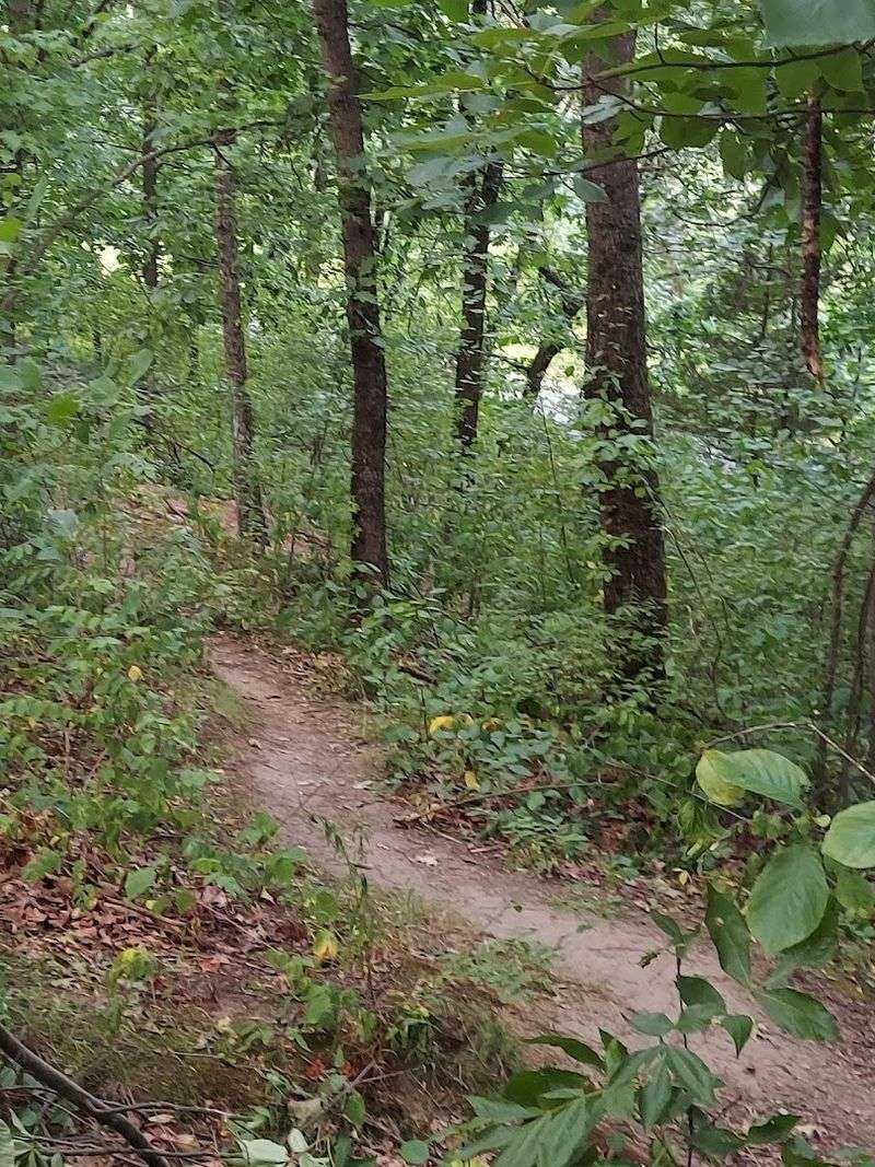 Tippling Rock Trail Head, Sudbury