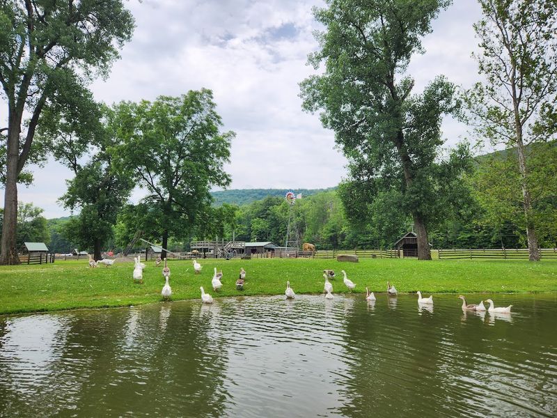 The Animal Roster Here Is Genuinely Impressive