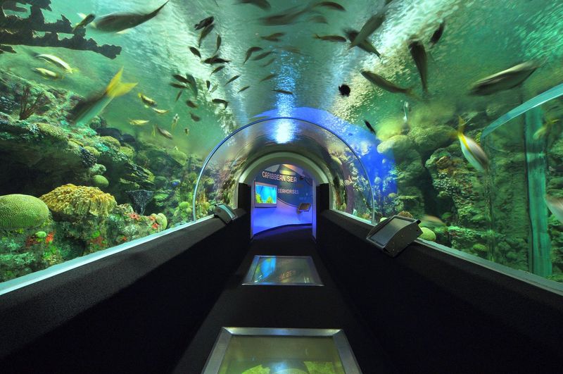 The Museum Features Rotating Exhibits That Keep Things Fresh