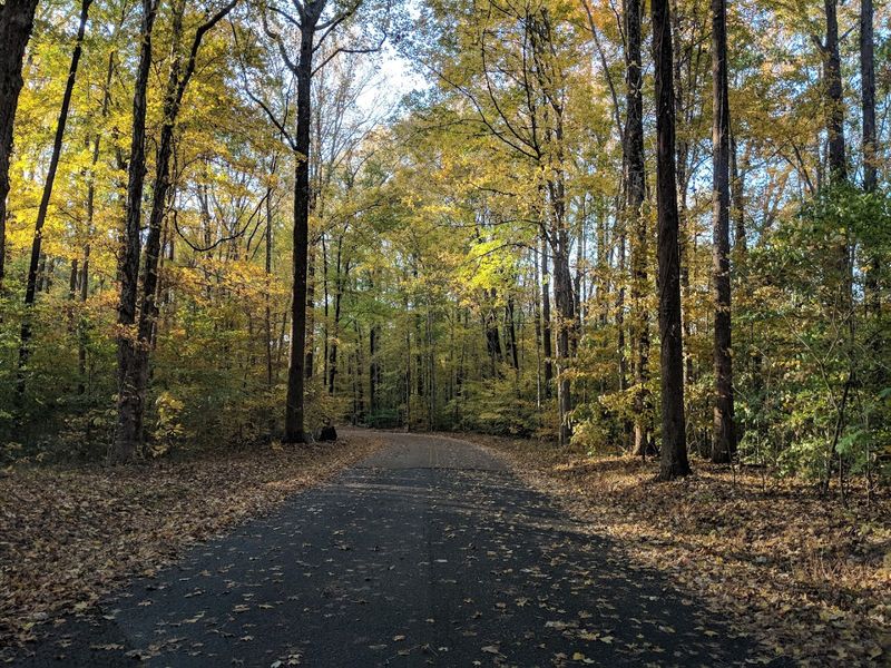 Meeman-Shelby Forest State Park