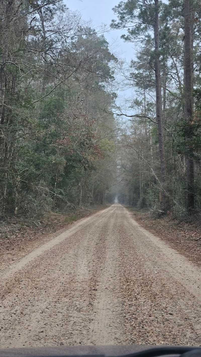 Bragg Road / Ghost Road