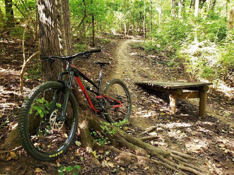 Percy Warner Mountain Bike Trail, Nashville