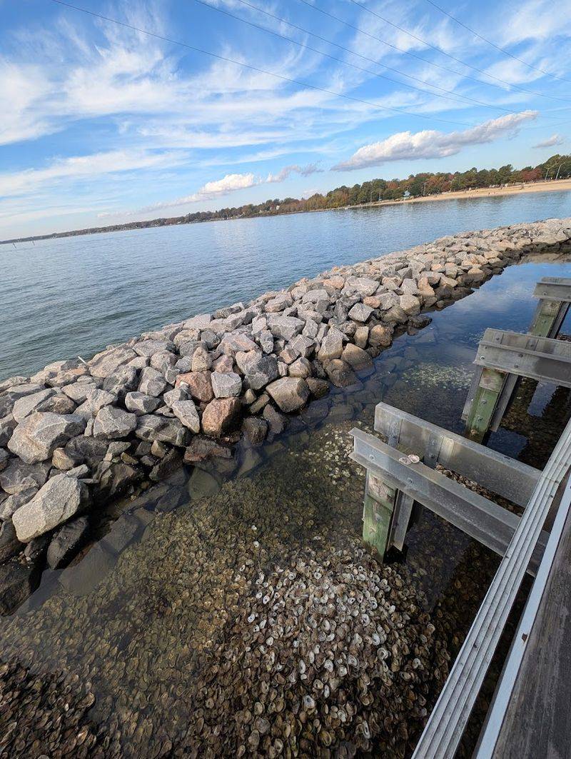 History Of Coastal Harvesting Traditions