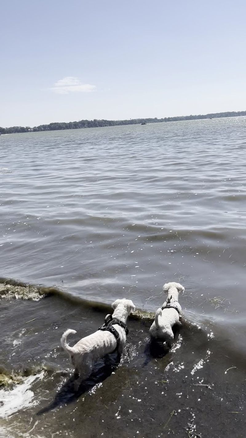 Lake Kegonsa State Park