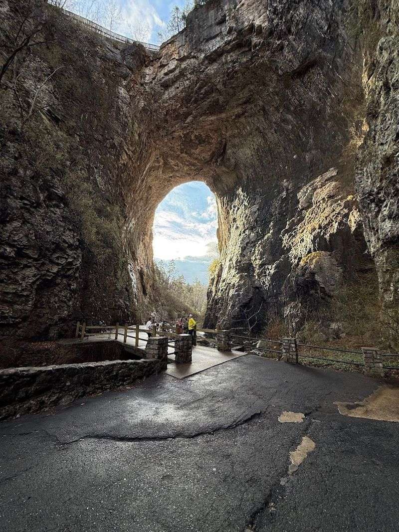 Natural Bridge State Park