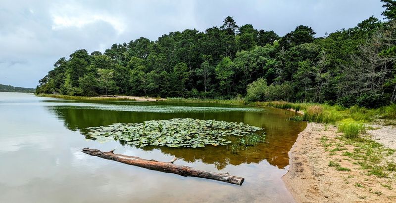 Freshwater Fishing In Ponds Stocked With Trout
