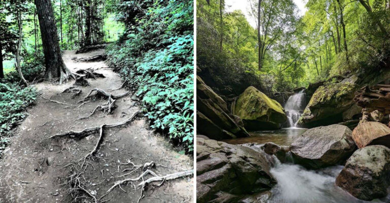 Hiking This Trail In Tennessee Is Like Entering A Fairytale