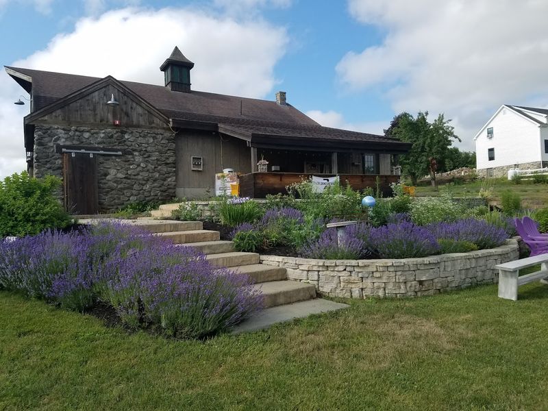 Airbnb Stays On The Farm: Waking Up To Something Beautiful