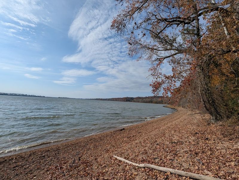 Water Activities On Kentucky Lake Keep The Adventure Going All Day