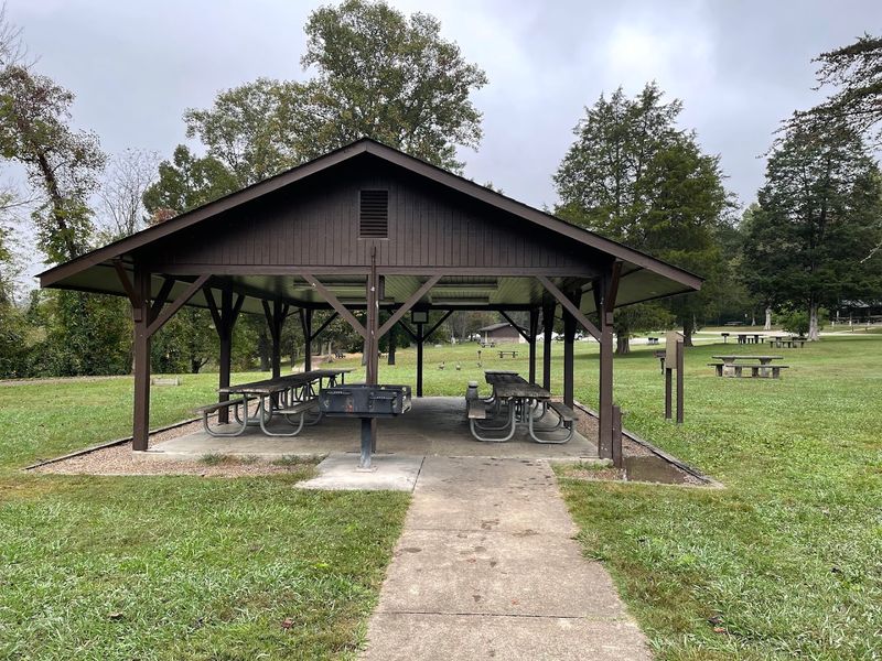 Picnic Areas That Actually Deliver On Their Promise
