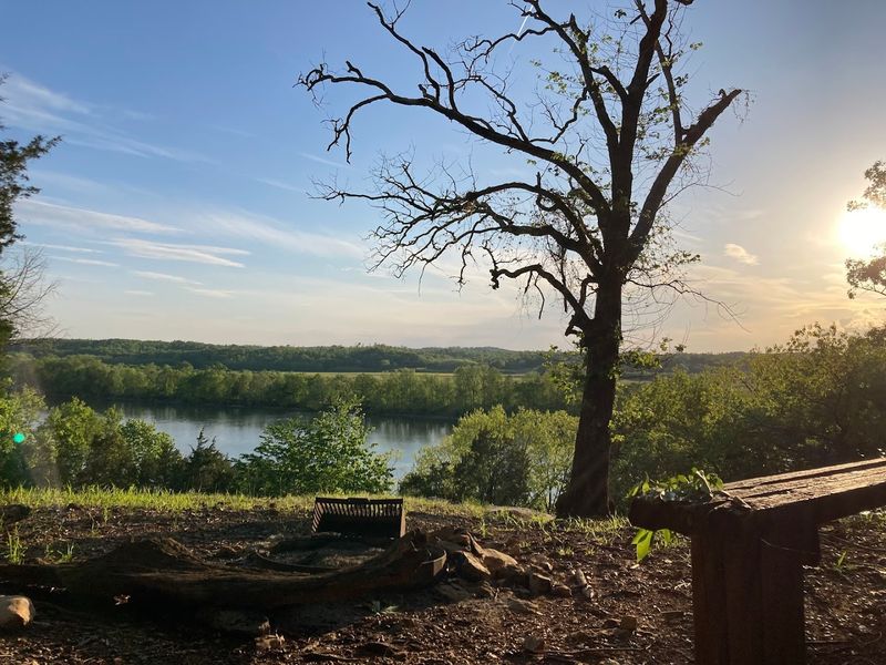 Wildlife Encounters That Keep Visitors Coming Back Season After Season