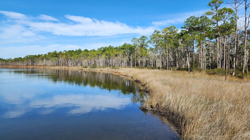 Recreational Activities For Nature Enthusiasts