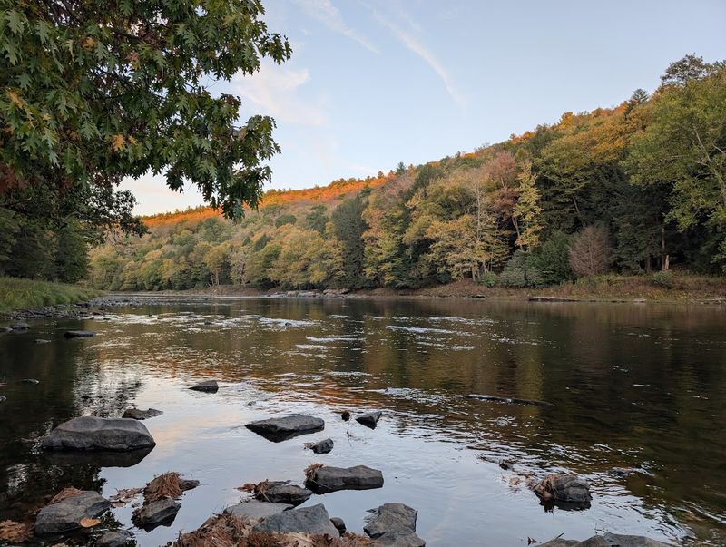 Biodiversity Within Old-Growth Ecosystems