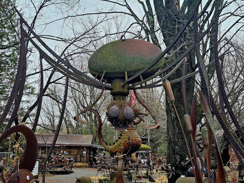 Types Of Insects Featured