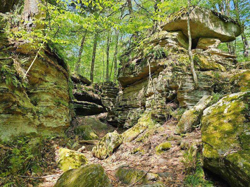 Panama Rocks Scenic Park