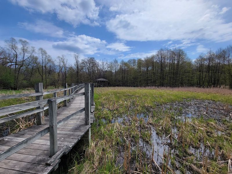 Miles Of Scenic Trails That Invite You To Explore