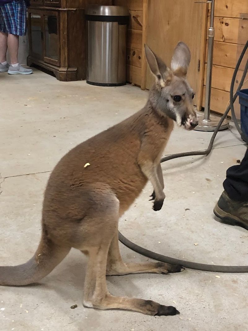 What Makes Ocoee Riverside Farm Worth The Drive To Benton, Tennessee