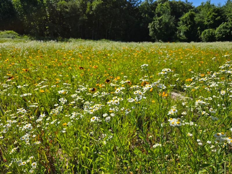 The Butterfly Experience: A Release You Will Not Forget