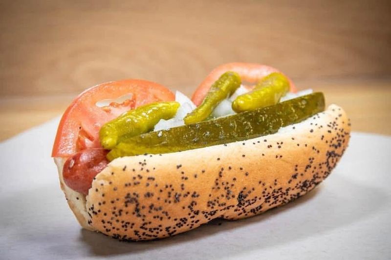 Why Chicago Transplants Keep Coming Back