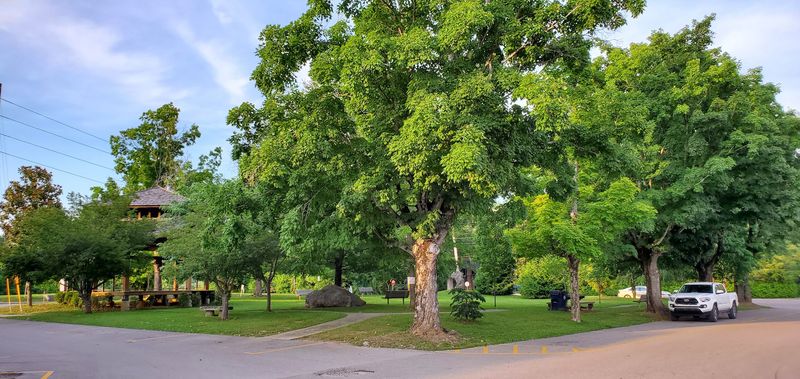 Small Town Safety And Community Connection