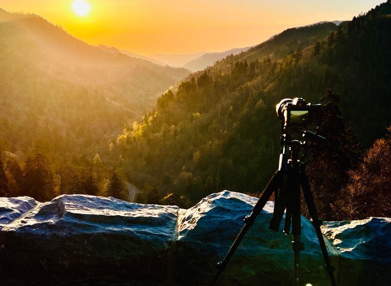 Planning Your Spring Visit: Timing, Access, And Practical Advice