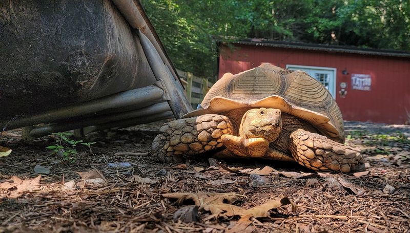 Birthday Parties And Private Events At The Farm