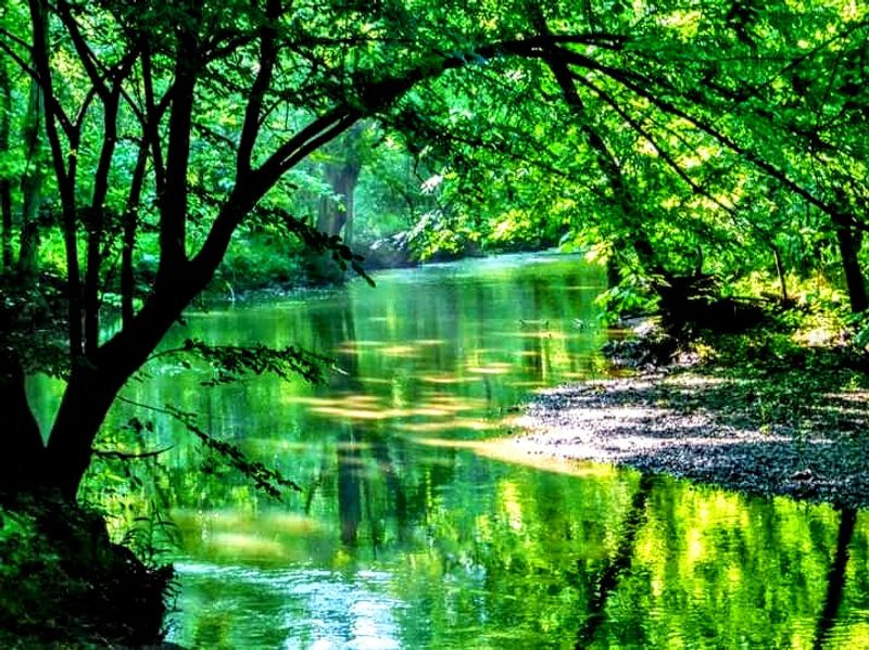 The Best Times Of Year To Visit The Kingsport Greenbelt