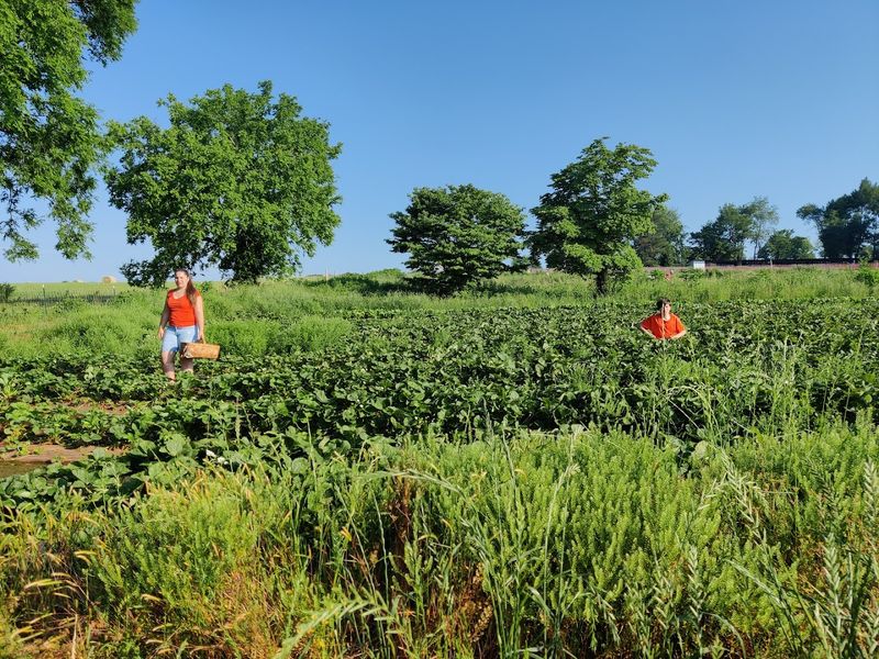 What To Wear And Bring For A Successful Farm Visit