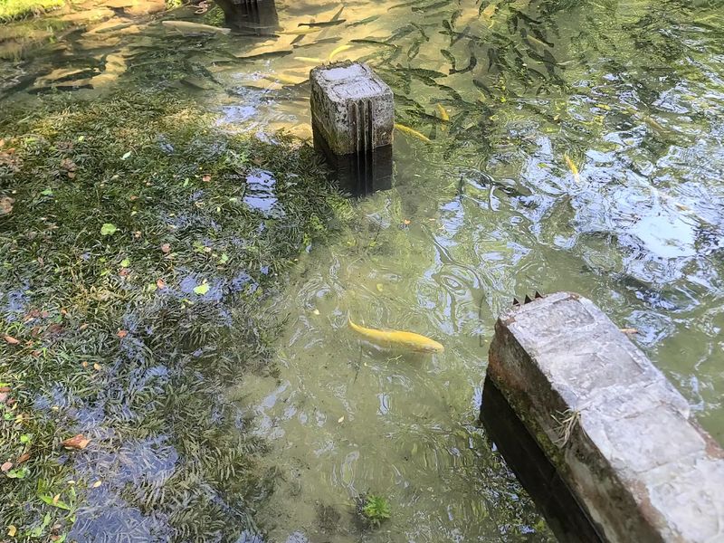 The Gem Sifting Activity On The Property