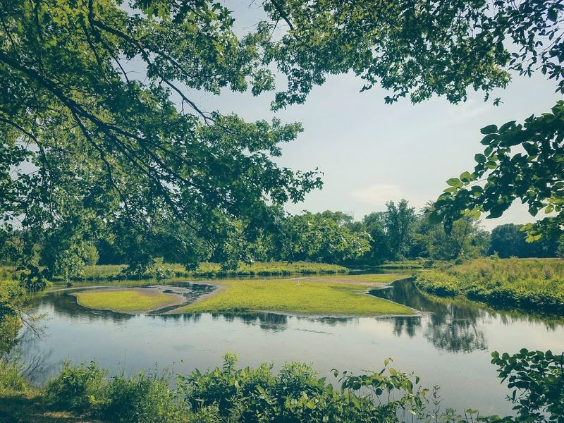 Walking Trails And Their Unique Features