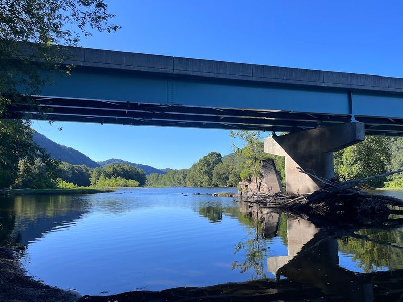 Environmental Impact And Conservation Efforts