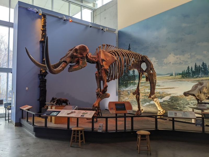 Museum Of The Earth (Ithaca)