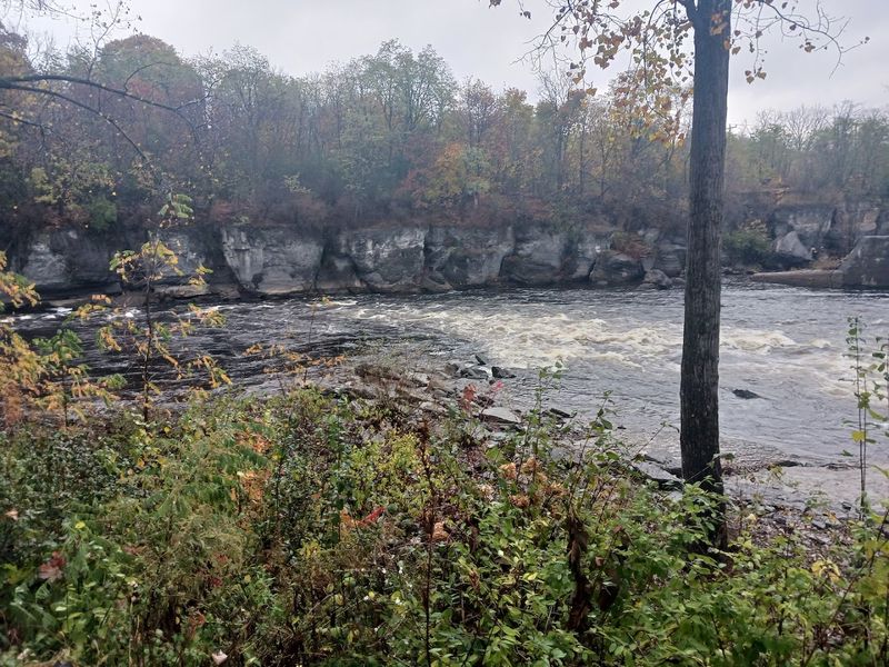 Impact Of Surrounding Landscape On Water Purity