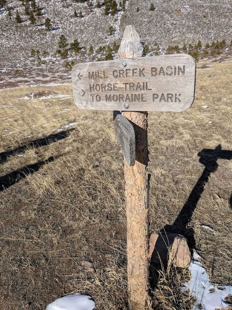 Conservation Efforts Protecting Meadow Ecosystems