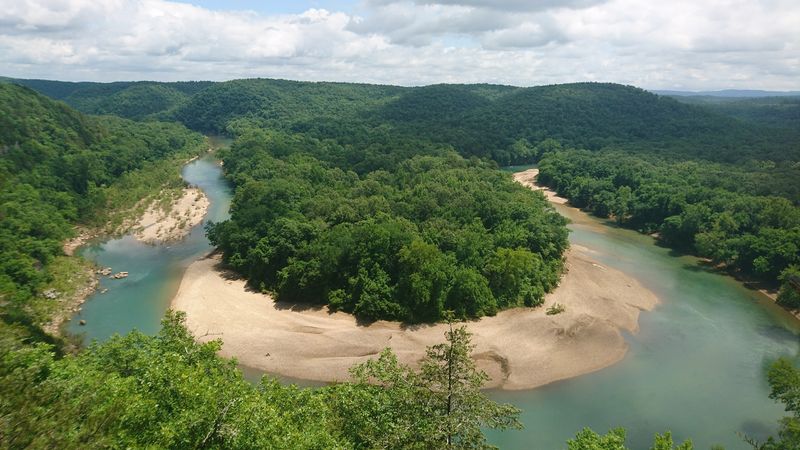 Exploring Riverbank Flora And Fauna Diversity