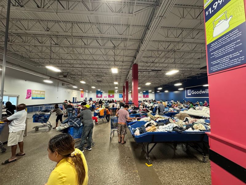 Planning Visits To Catch Rare Deals