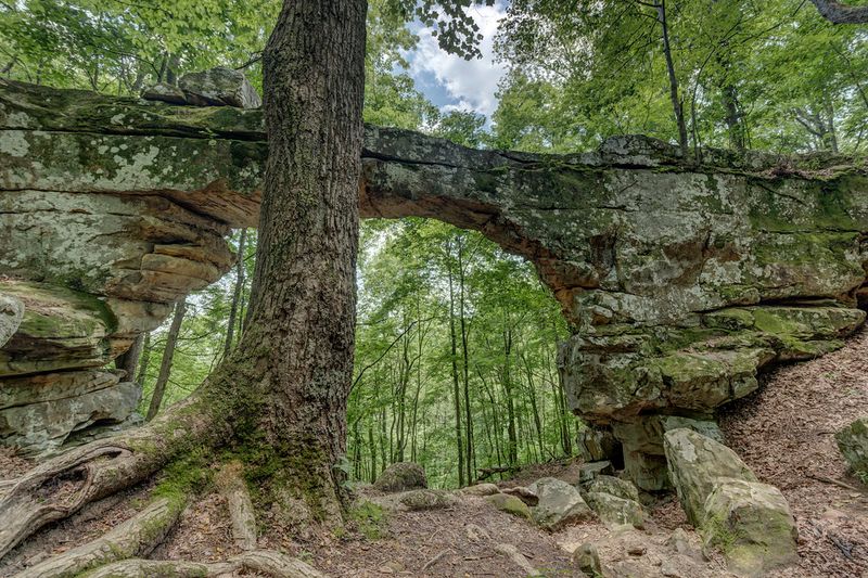 Fiery Gizzard State Park, Monteagle