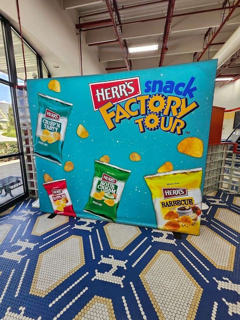 Packaging Methods To Preserve Freshness