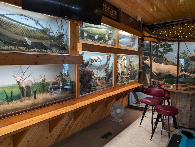 Mounted Wildlife Covers Nearly Every Wall And Corner