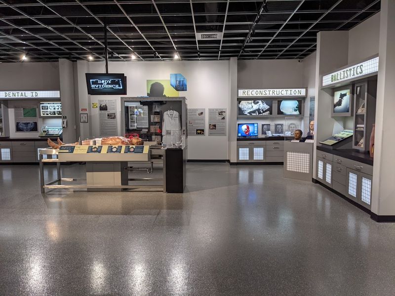 The Serial Killer Exhibits Draw Serious Attention