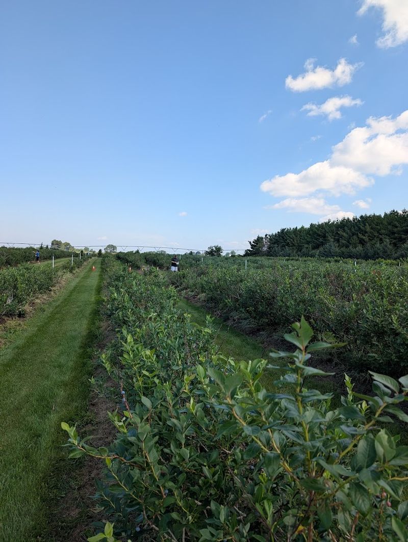 Benefits Of Buying Fresh Local Produce