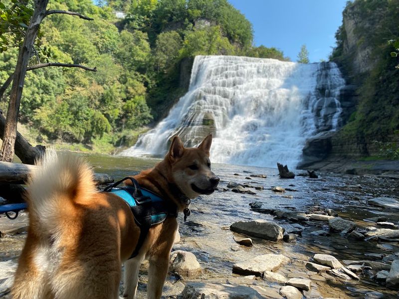 Practical Tips That Will Make Your Visit Run Smoothly