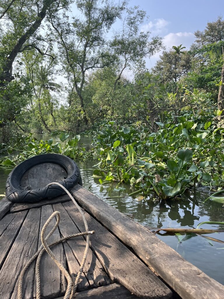 Jungle cruise on canal off Mekong River