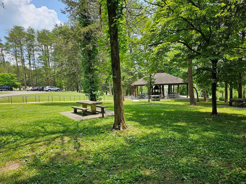 Playgrounds And Family Amenities That Parents Actually Appreciate