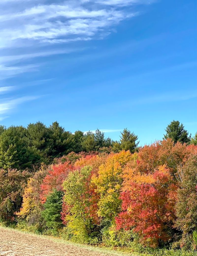 Fall Foliage Around The Reservoir Is Genuinely Stunning