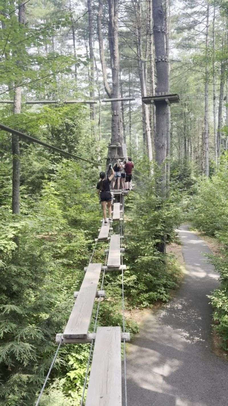 Corporate And Group Adventures That Actually Build Something Real