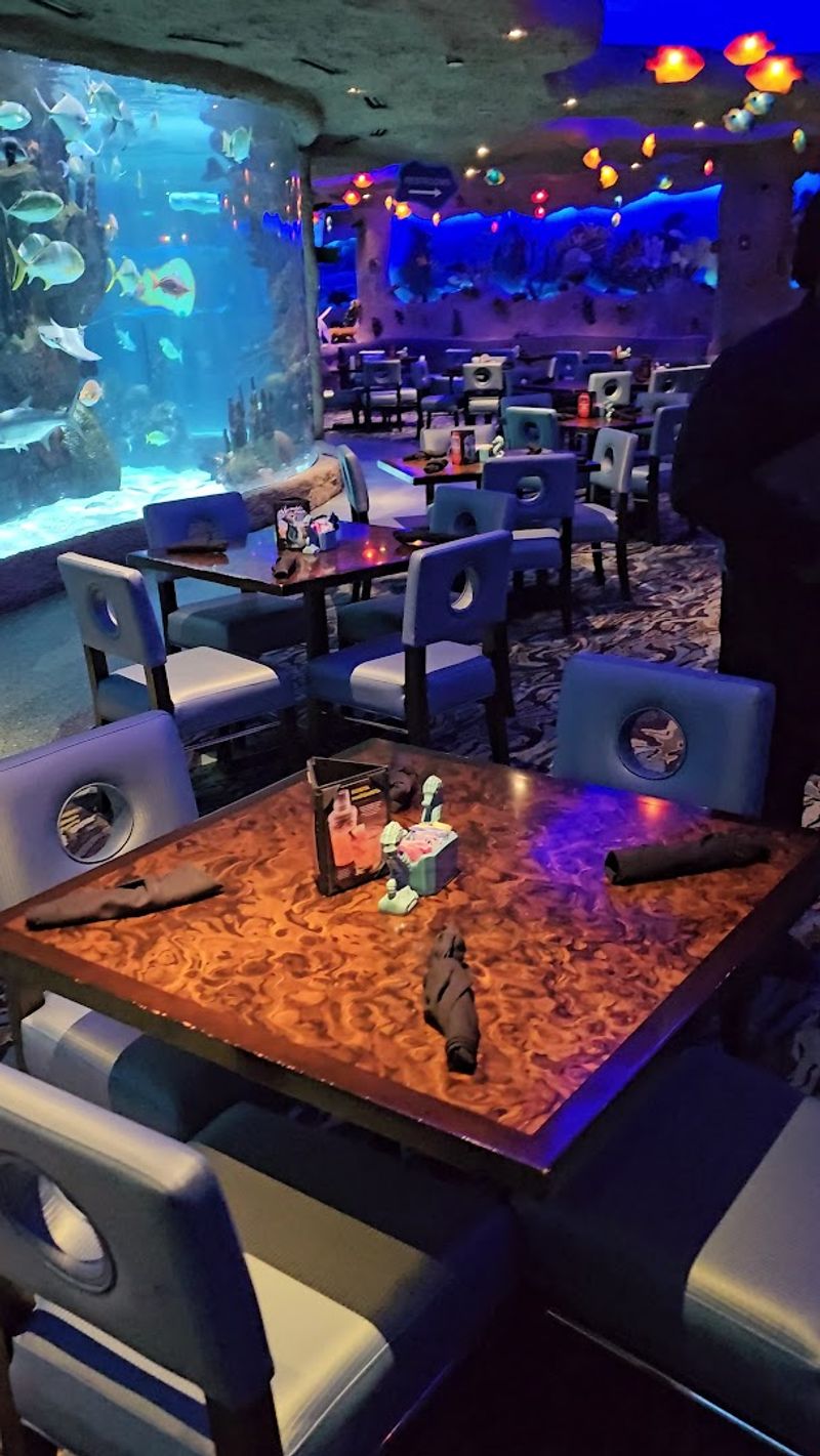 The Dining Atmosphere That Makes Every Bite Better