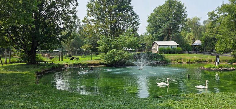 Seasonal Events, Train Rides, And Reasons To Return