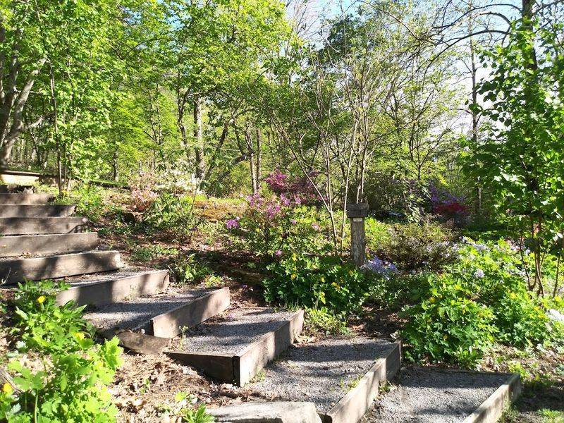 University Of Tennessee Arboretum, Oak Ridge